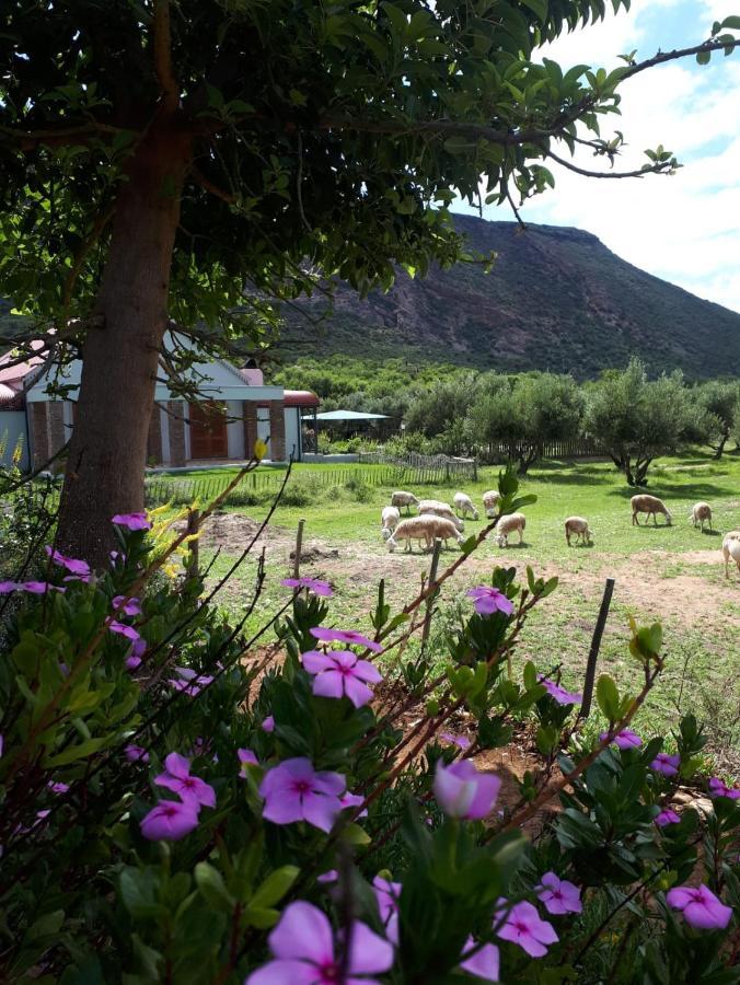 Studtis Baviaanskloof Landhuis מראה חיצוני תמונה